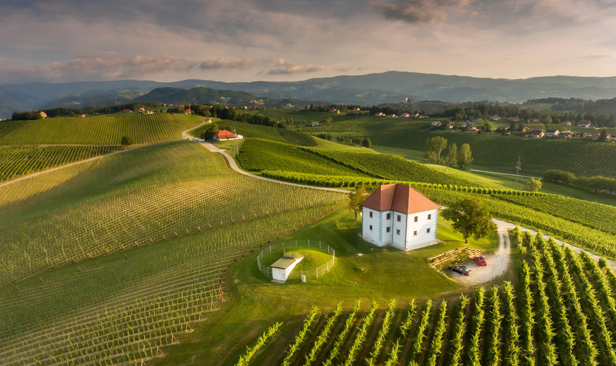 Zlati Grič Wine Tasting