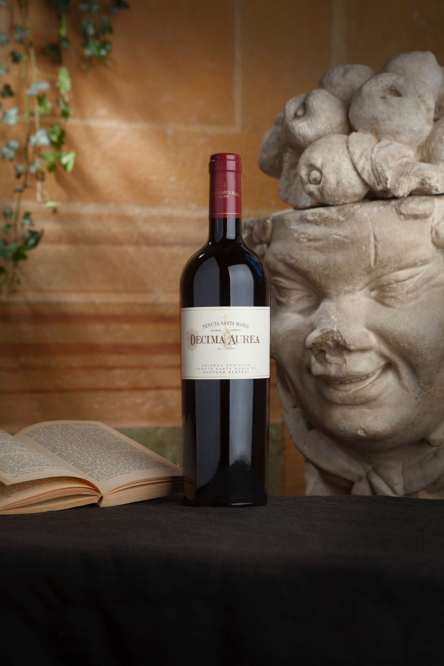 Tenuta Santa Maria Decima Aurea Merlot