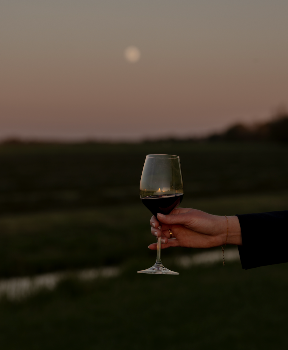 Italian Wine Night