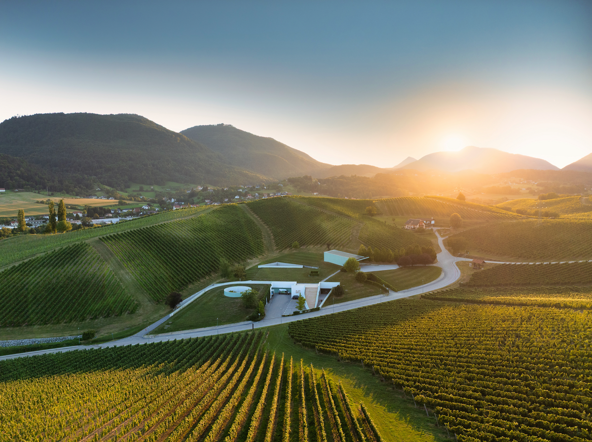 Zlati Grič Wine Tasting